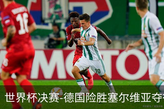 世界杯决赛-德国险胜塞尔维亚夺得世界杯冠军